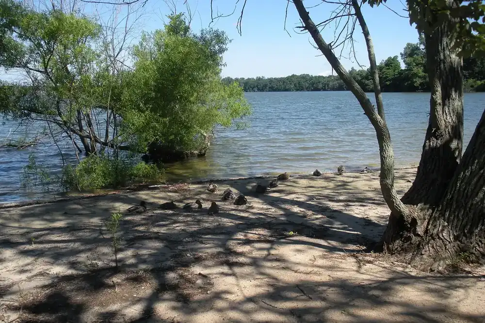 Sandy shoreline and calm water framed by trees at Lake Ronkonkoma, New York
