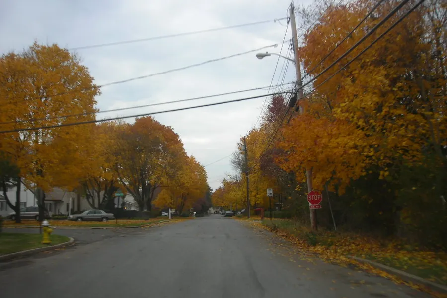 Quiet tree-lined residential street in autumn colors in Nesconset, New York